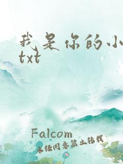 我是你的小小狗txt