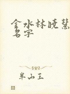 金水林晓慧小说名字