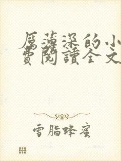 厉薄深的小说免费阅读全文