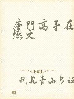 唐门高手在异世燃文