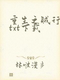 重生之贼行天下txt下载