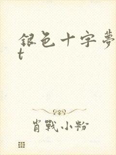 银色十字梦txt