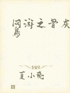 网游之骨灰级菜鸟