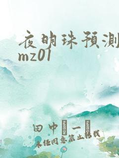 夜明珠预测 ymz01
