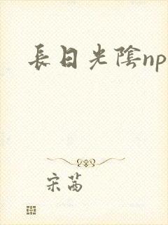 长日光阴np