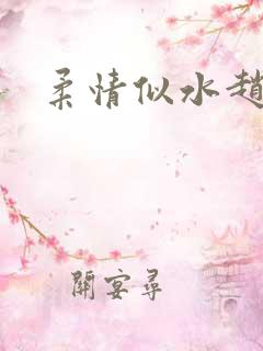 柔情似水赵雅儿