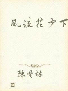 风流花少下载