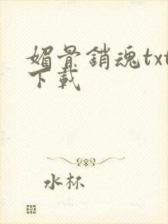 媚骨销魂txt下载