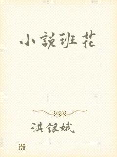 小说班花