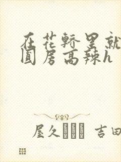 在花轿里就开始圆房高辣h