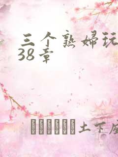 三个熟妇玩双飞38章
