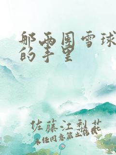 那两团雪球在他的手里