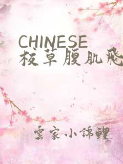 CHINESE校草腹肌飞机视频