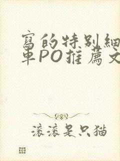 写的特别细的开车PO推荐文多人