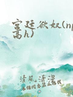宫廷欲奴(np高h)