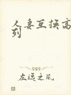 人妻互换高h系列