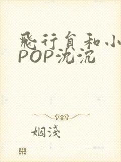 飞行员和小空乘POP沈沉