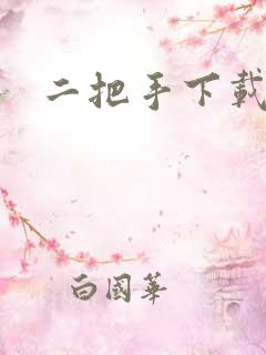 二把手下载