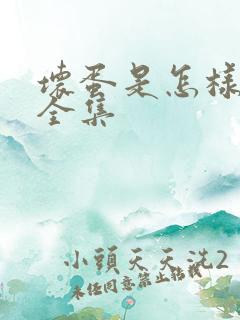 坏蛋是怎样炼成全集