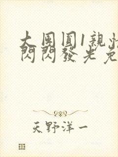 大团圆1亲情会闪闪发光免费