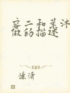 容二和叶沐走着做的描述