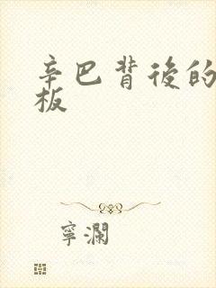 辛巴背后的人老板