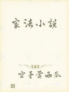家法小说