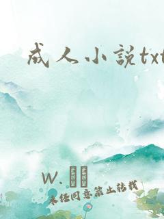 成人小说txt
