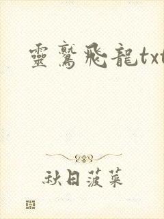 灵鹫飞龙txt