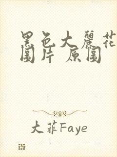 黑色大丽花真实图片 原图