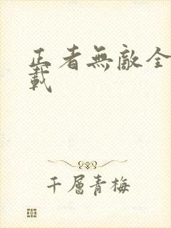 正者无敌全集下载