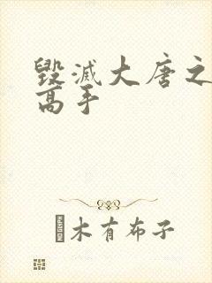 毁灭大唐之异能高手