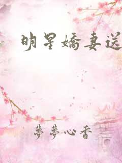 明星娇妻送上门