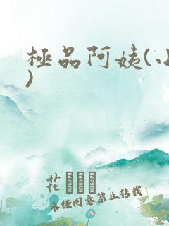 极品阿姨(小说)