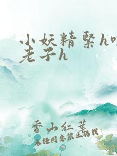 小妖精紧h嘶爽老子h