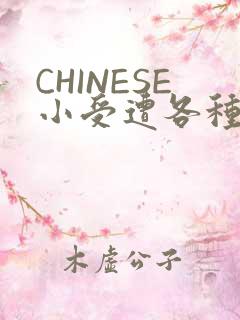 CHINESE小受遭各种打桩