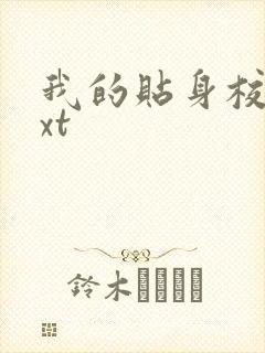 我的贴身校花txt