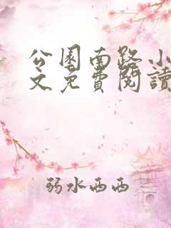 公园南路小说全文免费阅读