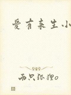 爱有来生小说