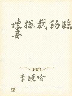 坏总裁的临时娇妻