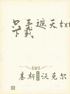 只手遮天txt下载