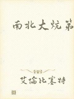 南北大炕第一部