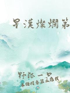星汉灿烂第二部