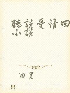 听说爱情回来过小说