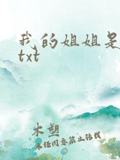 我的姐姐是美女txt