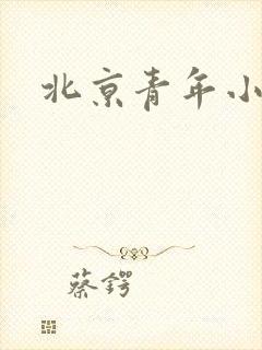北京青年小说