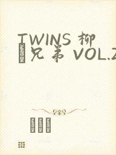 TWINS 柳澤兄弟 VOL.2