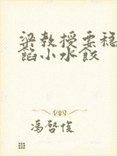 梁教授要稳住肉馅小水饺