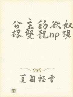 公主的欲奴h四根双龙np视频