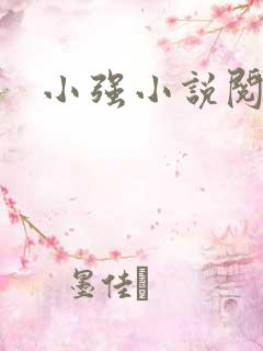 小强小说阅读网